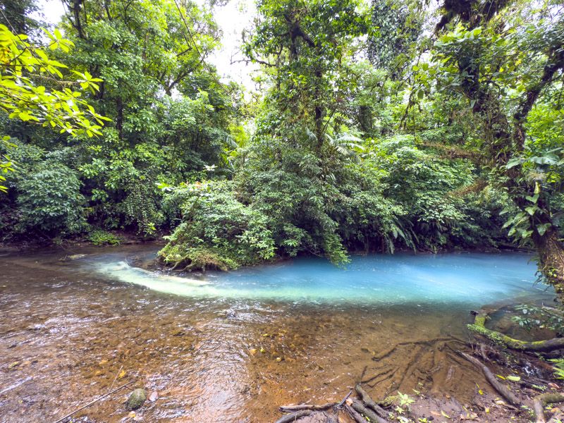 Viaje a Costa Rica por libre: Teñidero