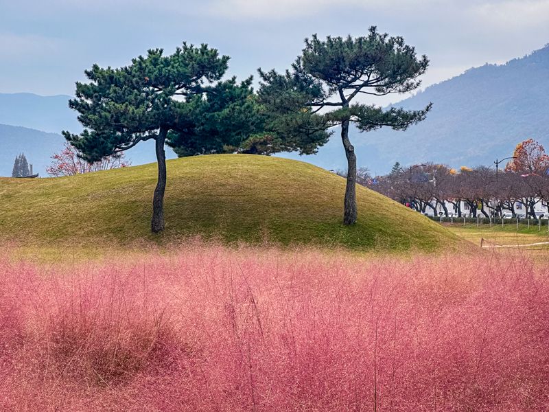 Viaje a Corea del Sur por libre: Gyeongju