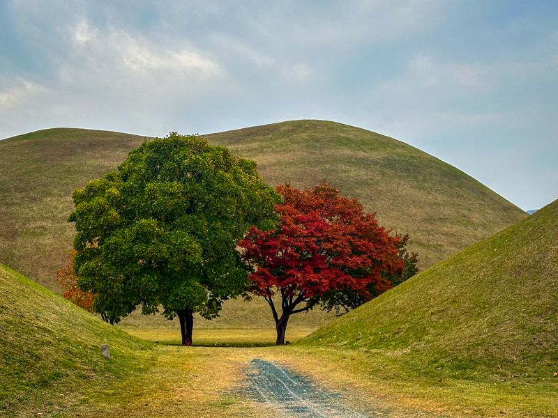 Viaje a Corea del Sur por libre: Gyeongju