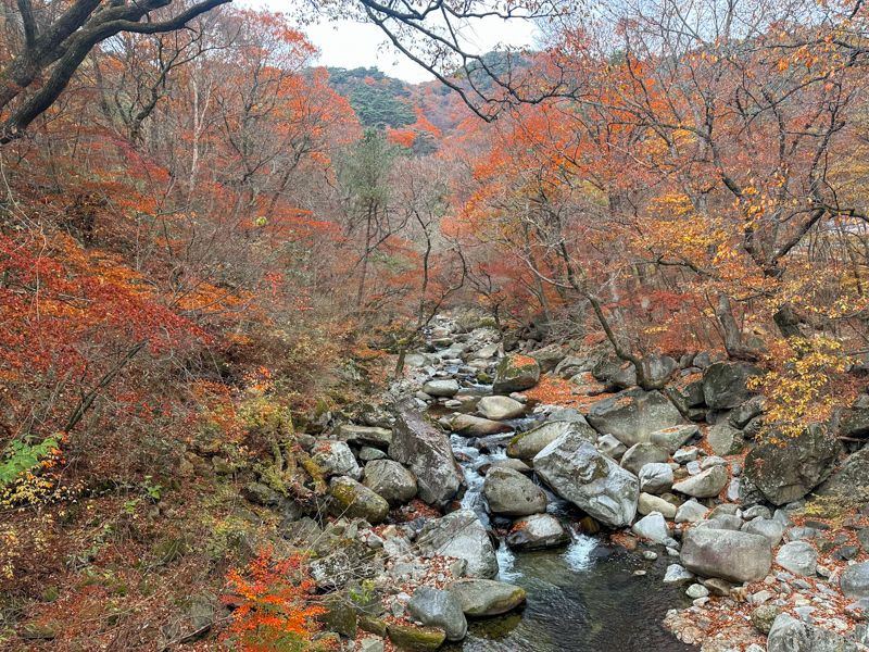 Viaje a Corea del Sur por libre desde España: Haeinsa