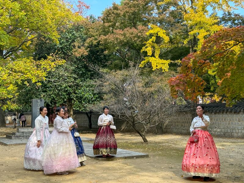 Viaje a Corea del Sur por libre: Jeonju