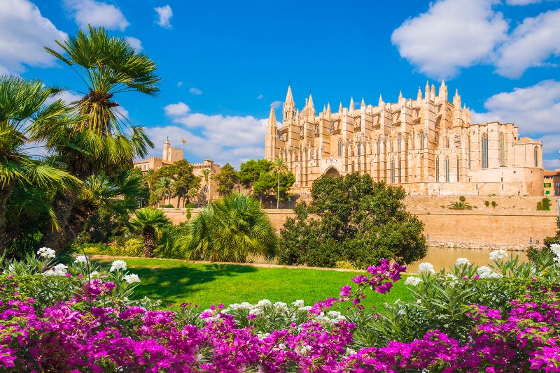 Planes dog friendly más allá de los chapoteos en las playas para perros en Mallorca