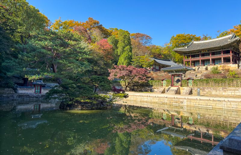 Qué ver en Seúl: jardín secreto del Palacio de Ch'angdokkung