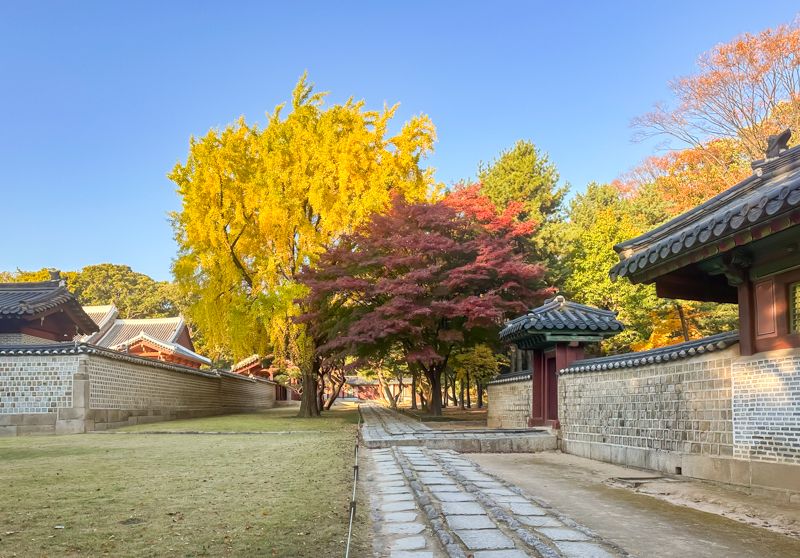 Qué ver en Seúl: Santuario de Jongmyo