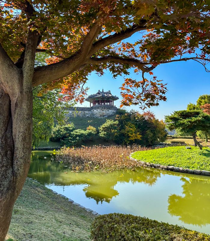 Qué ver en los alrededores de Seúl: Suwon