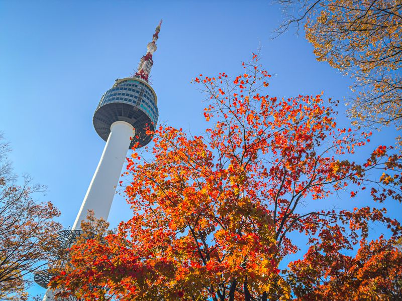 Qué ver en Seúl: N Seoul Tower