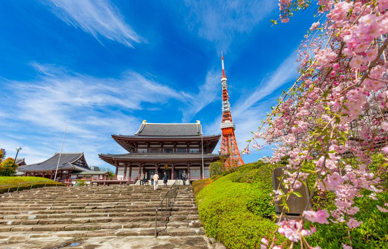 Qué ver en Tokio: templo Zojoji