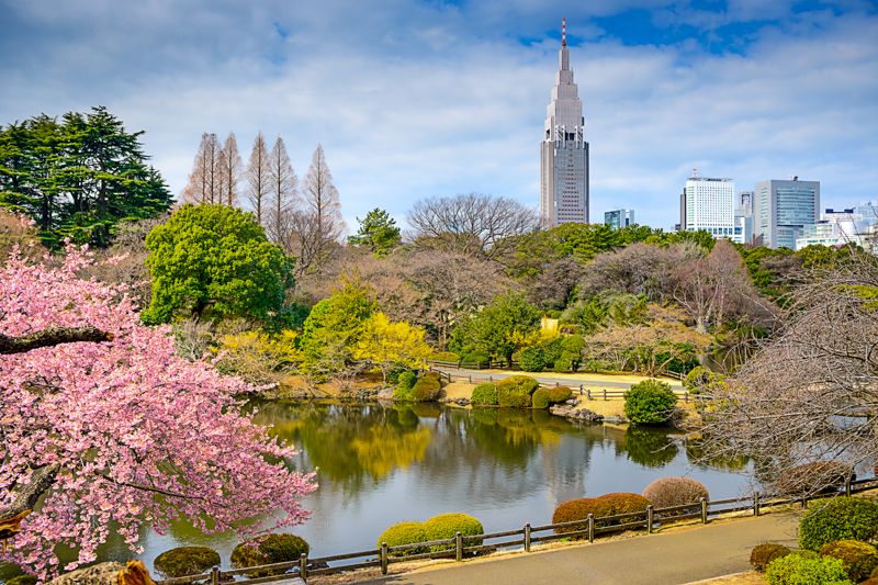 Qué ver en Tokio: Shinjuku Gyoen