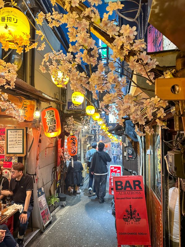 Qué ver en Tokio: Omoide Yokocho