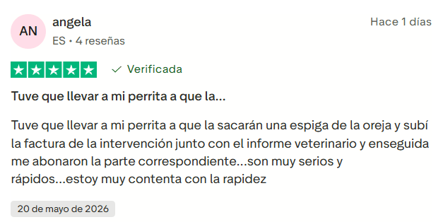 ▷ Barkibu opiniones en 2026: ¿es el mejor seguro para mascotas si vas a viajar con ellas? 5 Barkibu opiniones recientes en Trustpilot