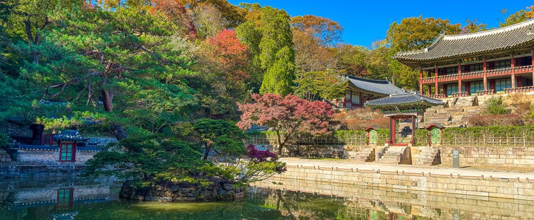 ▷ Cómo tener internet en Corea del Sur en 2026 ⚠️ La guía que necesitas leer si es tu primer viaje a este país