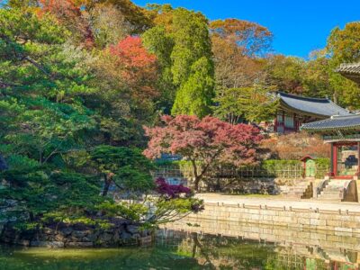 ▷ Cómo tener internet en Corea del Sur en 2025 ⚠️ La guía que necesitas leer si es tu primer viaje a este país