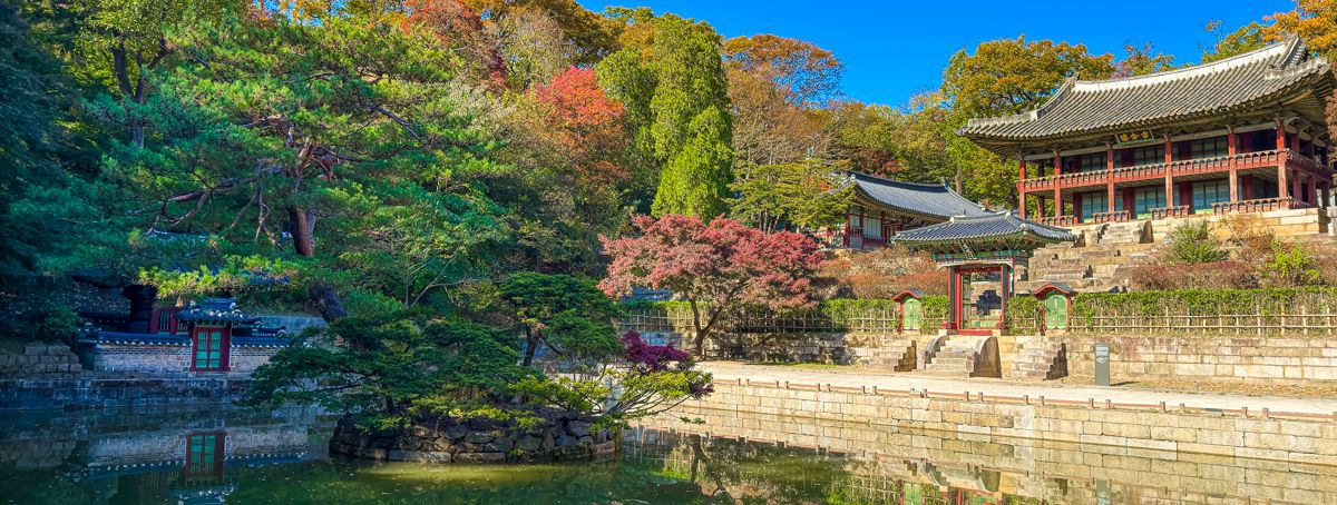 ▷ Cómo tener internet en Corea del Sur en 2025 ⚠️ La guía que necesitas leer si es tu primer viaje a este país