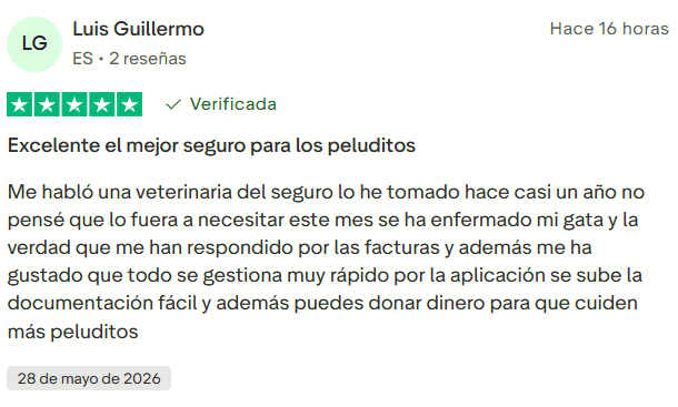 ▷ Barkibu opiniones en 2026: ¿es el mejor seguro para mascotas si vas a viajar con ellas? 4 Opiniones de Barkibu positivas y recientes