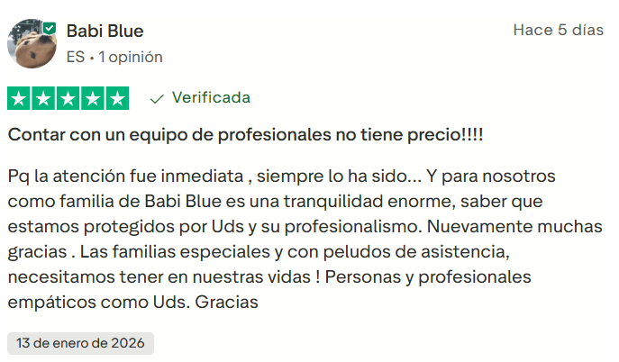 ▷ Barkibu opiniones en 2026: ¿es el mejor seguro para mascotas si vas a viajar con ellas? 5 Barkibu opiniones recientes