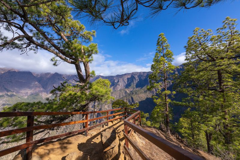 Mirador La Cumbrecita, uno de los mejores balcones naturales que ver en La Palma