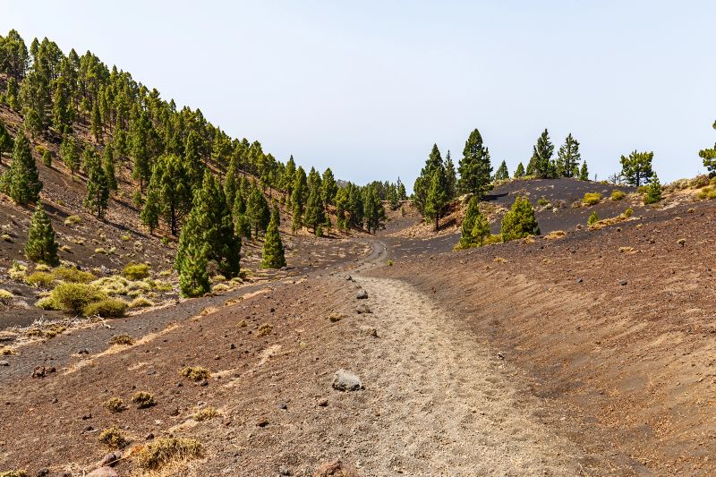 Ruta de los Volcanes, una experiencia única que ver y hacer en La Palma caminando