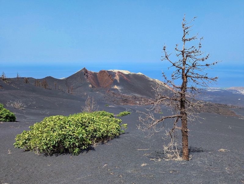 Cumbre Vieja y Tajogaite, una zona imprescindible que ver en La Palma después del volcán
