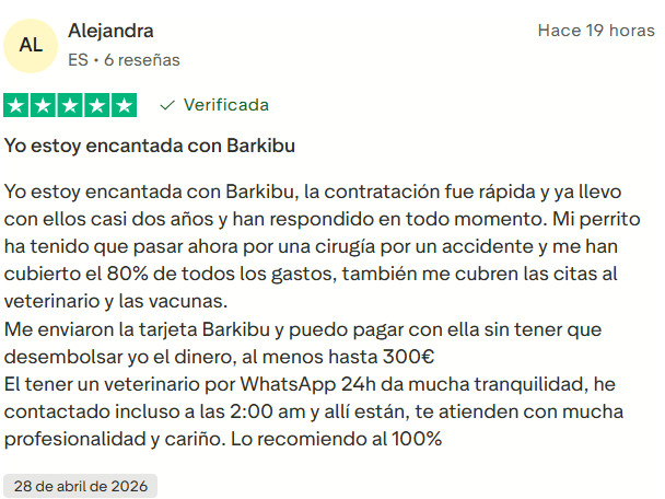 ▷ Barkibu opiniones en 2026: ¿es el mejor seguro para mascotas si vas a viajar con ellas? 6 Barkibu opiniones positivas en Trustpilot