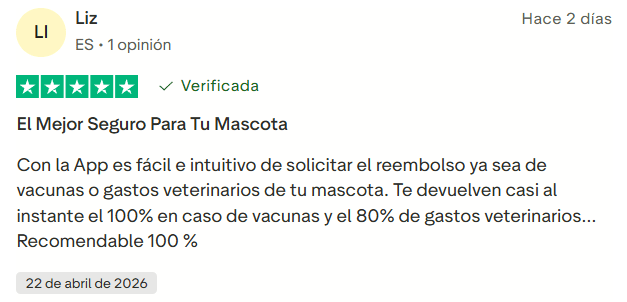 ▷ Barkibu opiniones en 2026: ¿es el mejor seguro para mascotas si vas a viajar con ellas? 8 Barkibu opiniones: otra reseña positiva en Trustpilot sobre la app