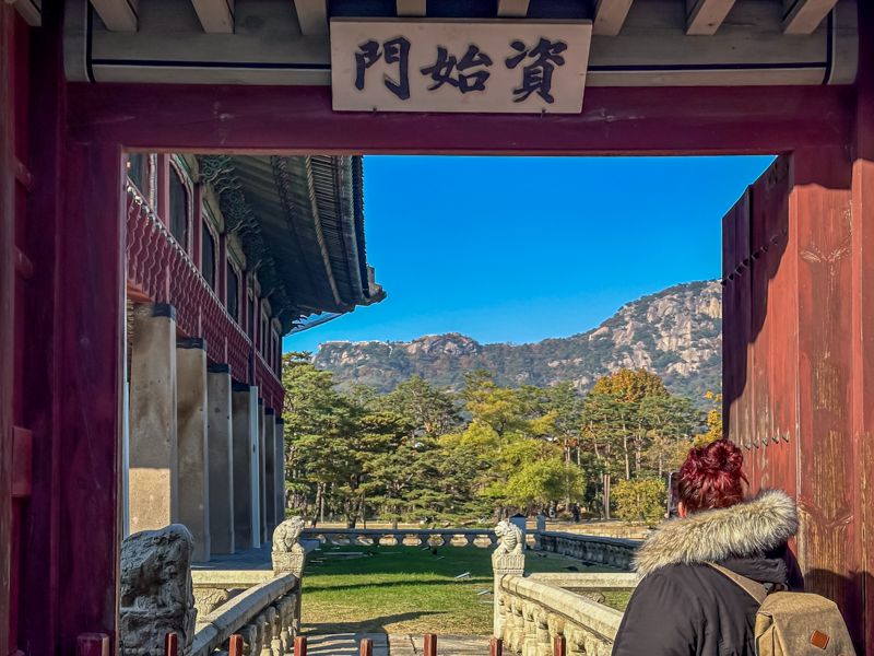 Comparativa eSIM por días vs. planes de suscripción. ¿Cuál te conviene más?