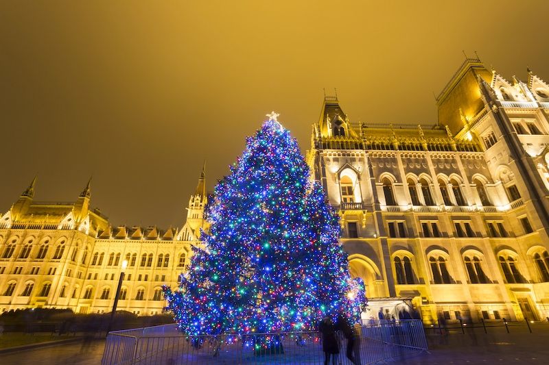 Qué ver en Budapest en Navidad: árbol de Navidad plaza Kossuth Lajos