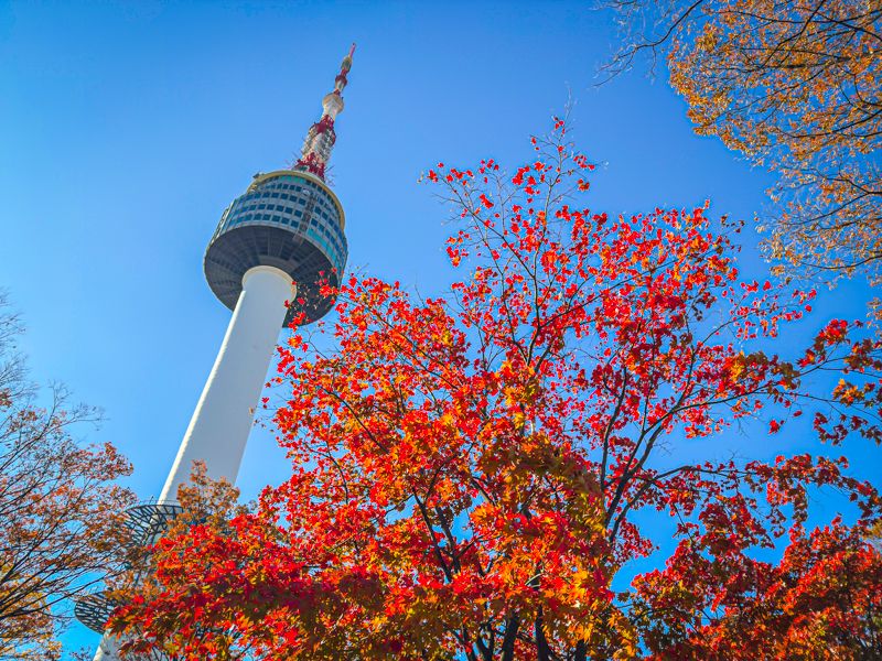 Consejos para viajar a Corea del Sur por primera vez: elige bien la época