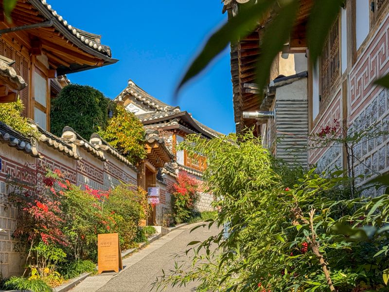 Consejos para viajar a Corea del Sur por primera vez: ¿qué documentación necesitas?