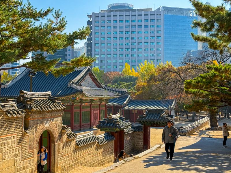 Consejos para viajar a Corea del Sur por primera vez: tienes que contratar sí o sí un buen seguro de viaje