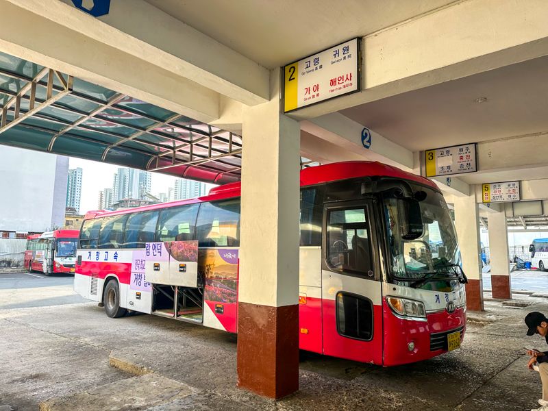 Consejos para viajar a Corea del Sur por primera vez: cómo moverse por el país