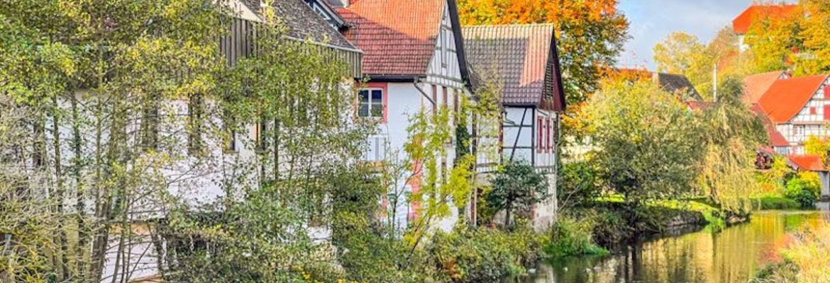 ▷ Dónde alojarse en la Selva Negra: las 6 mejores ubicaciones