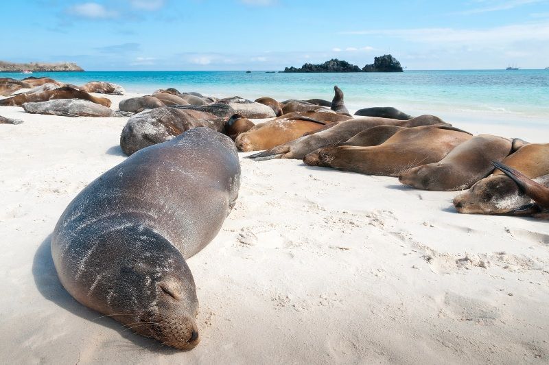 Dónde viajar en mayo fuera de Europa: Islas Galápagos