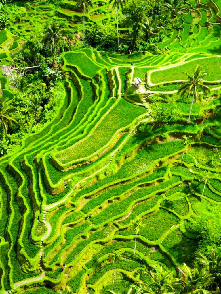blog de viajes en pareja indonesia
