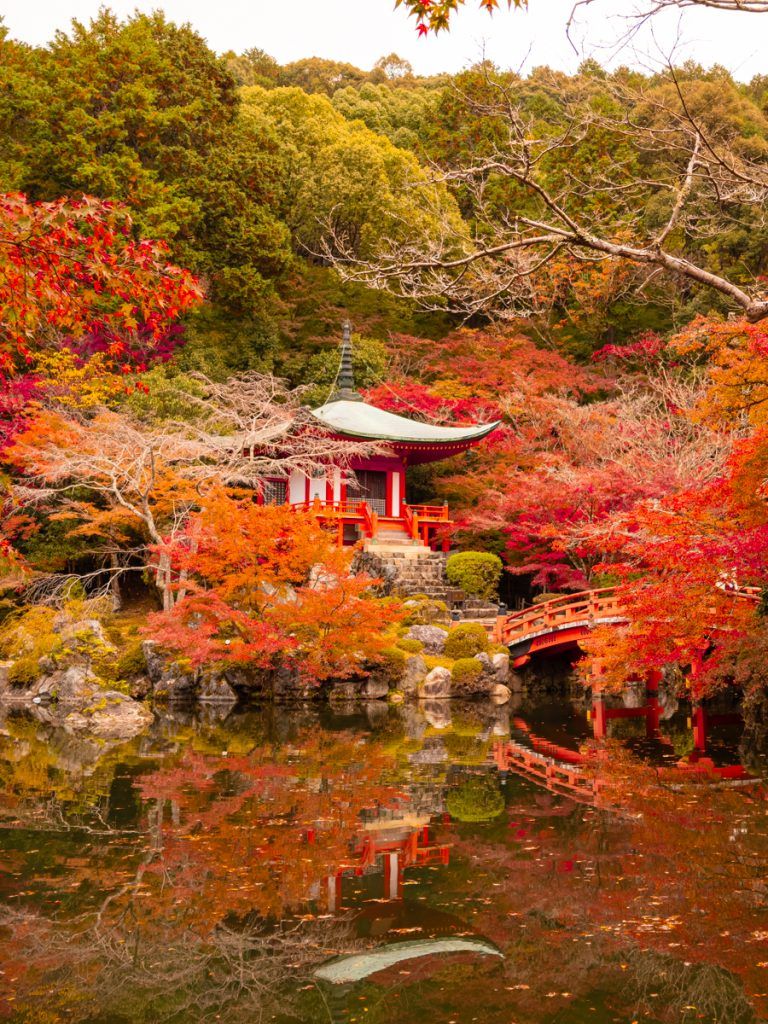 blog de viajes en pareja japon