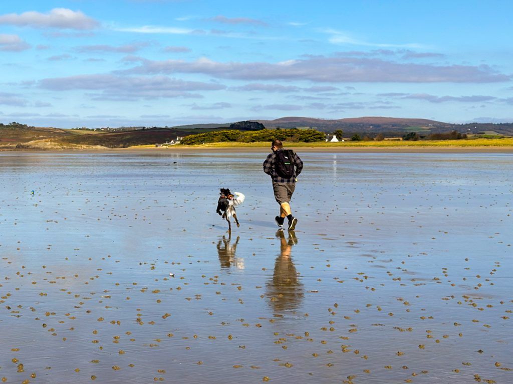 blog de viajes para viajar con perro