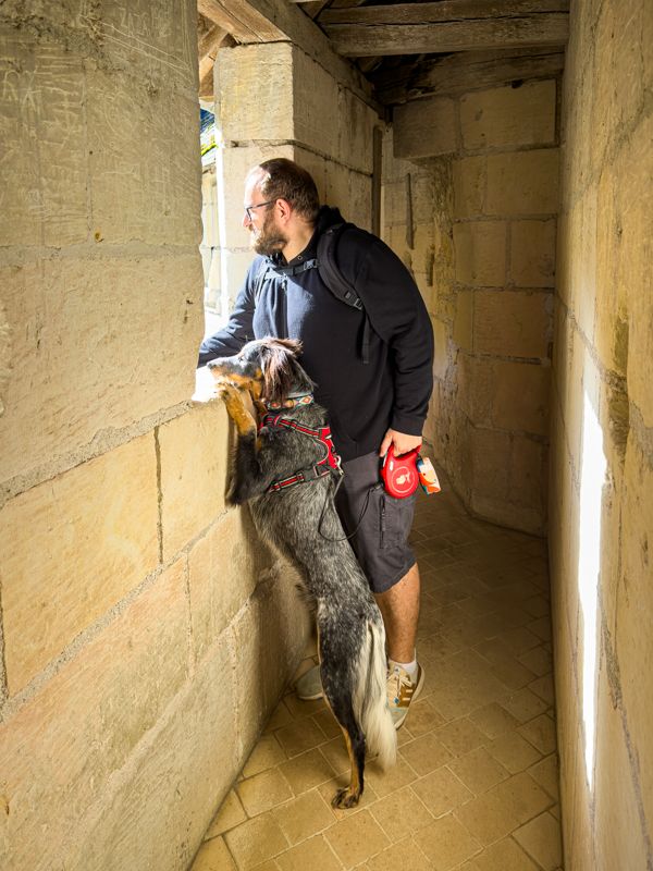 Cuántos días se necesitan para visitar el Valle del Loira