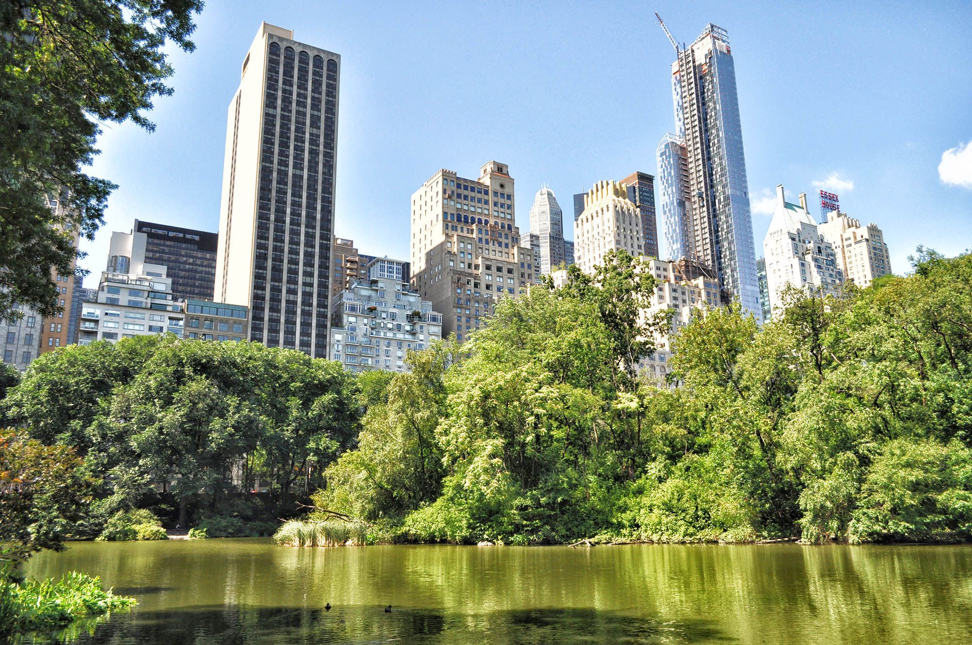 ¿Cuál es el mejor seguro de viaje para Nueva York? - Guía de Nueva York