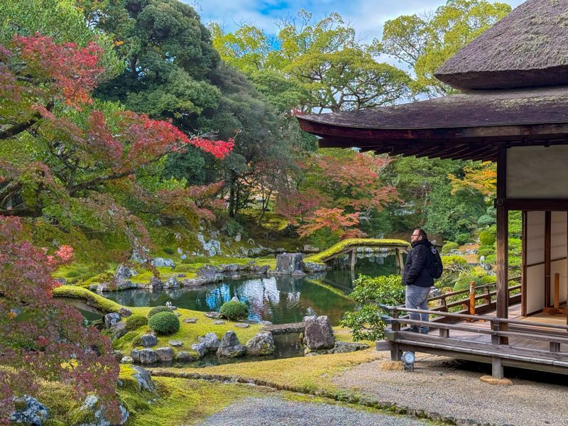 ▷ IATI o Intermundial ⚠️ ¿Qué seguro de viaje es mejor? Comparativa con toda la VERDAD 13 IATI o Intermundial qué seguro elijo