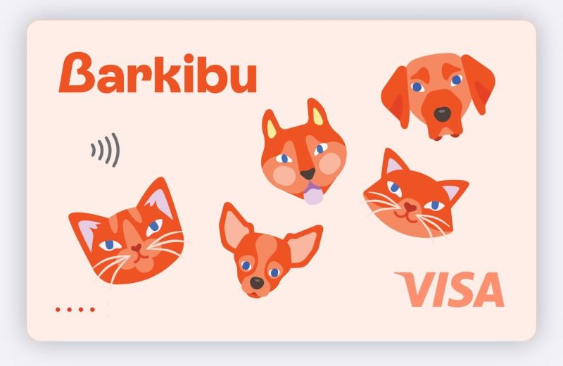 ▷ Barkibu opiniones en 2026: ¿es el mejor seguro para mascotas si vas a viajar con ellas? 22 Tarjeta Barkibu opiniones