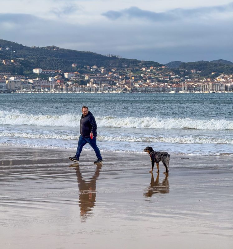 ▷ Los 10 MEJORES destinos para viajar con perros dentro y fuera de España ❤️ 11 Consejos a tener en cuenta cuando busques destinos para viajar con perros