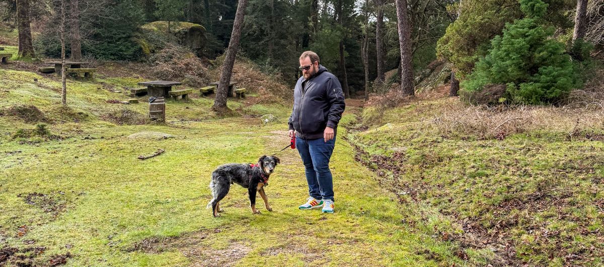 ▷ Los 10 MEJORES destinos para viajar con perros dentro y fuera de España ❤️ 3 Mejores destinos para viajar con perros: Galicia