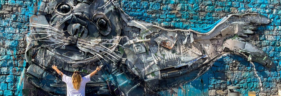 ▷ Qué ver en Câmara de Lobos en un día: guía + itinerario + mapa