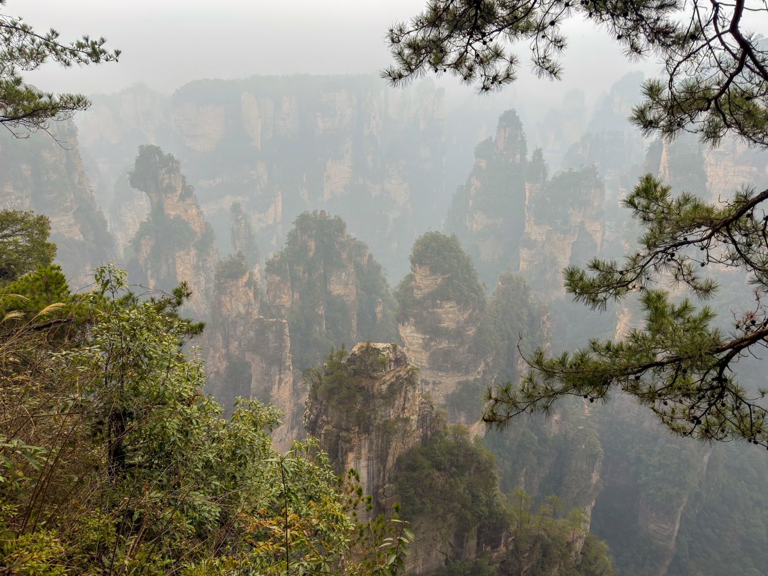 ▷ Guía para visitar el Parque Nacional de Zhangjiajie: cómo llegar a las montañas de Avatar en China, precio e info útil 21 Visitar el Parque Nacional de Zhangjiajie con niebla