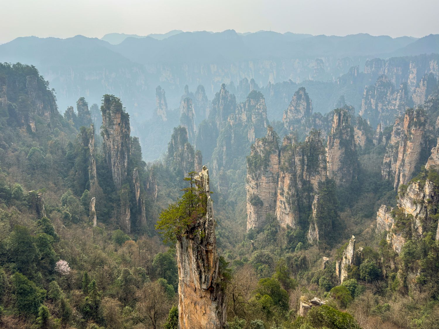 ▷ Guía para visitar el Parque Nacional de Zhangjiajie: cómo llegar a las montañas de Avatar en China, precio e info útil 12 Visitar el Parque Nacional de Zhangjiajie: zona de Tianzi Mountain